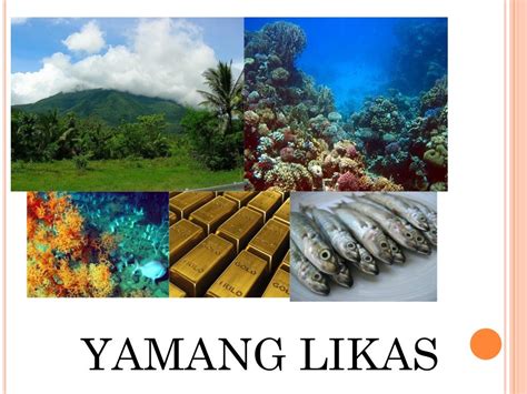 likas na yaman ng cavite|Likas na yaman .